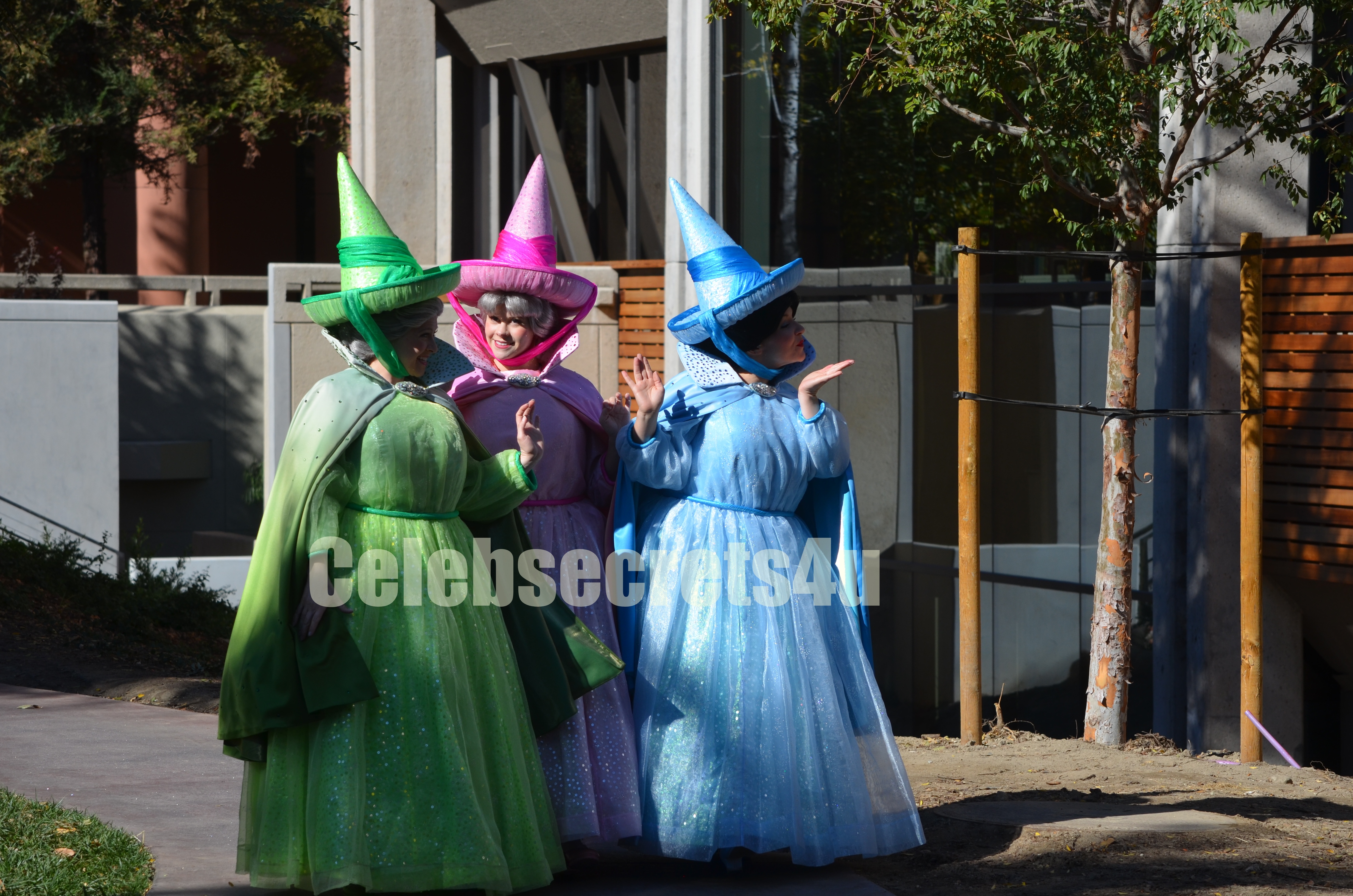 Wayne Brady, Constance Marie, Alessandra Ambrosino & More Celebrate the “Sofia The First: Once Upon A Princess” Premiere