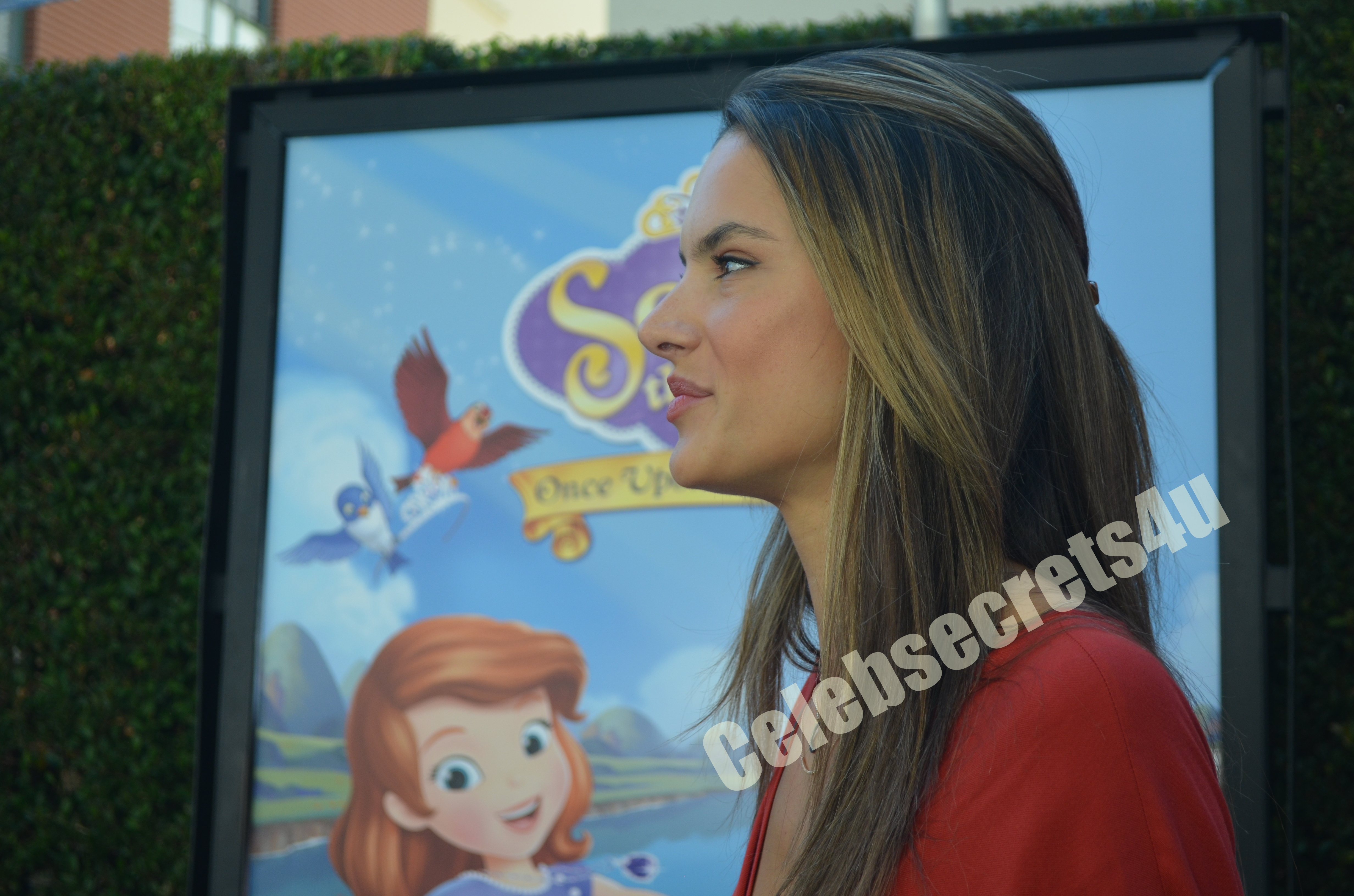 Wayne Brady, Constance Marie, Alessandra Ambrosino & More Celebrate the “Sofia The First: Once Upon A Princess” Premiere