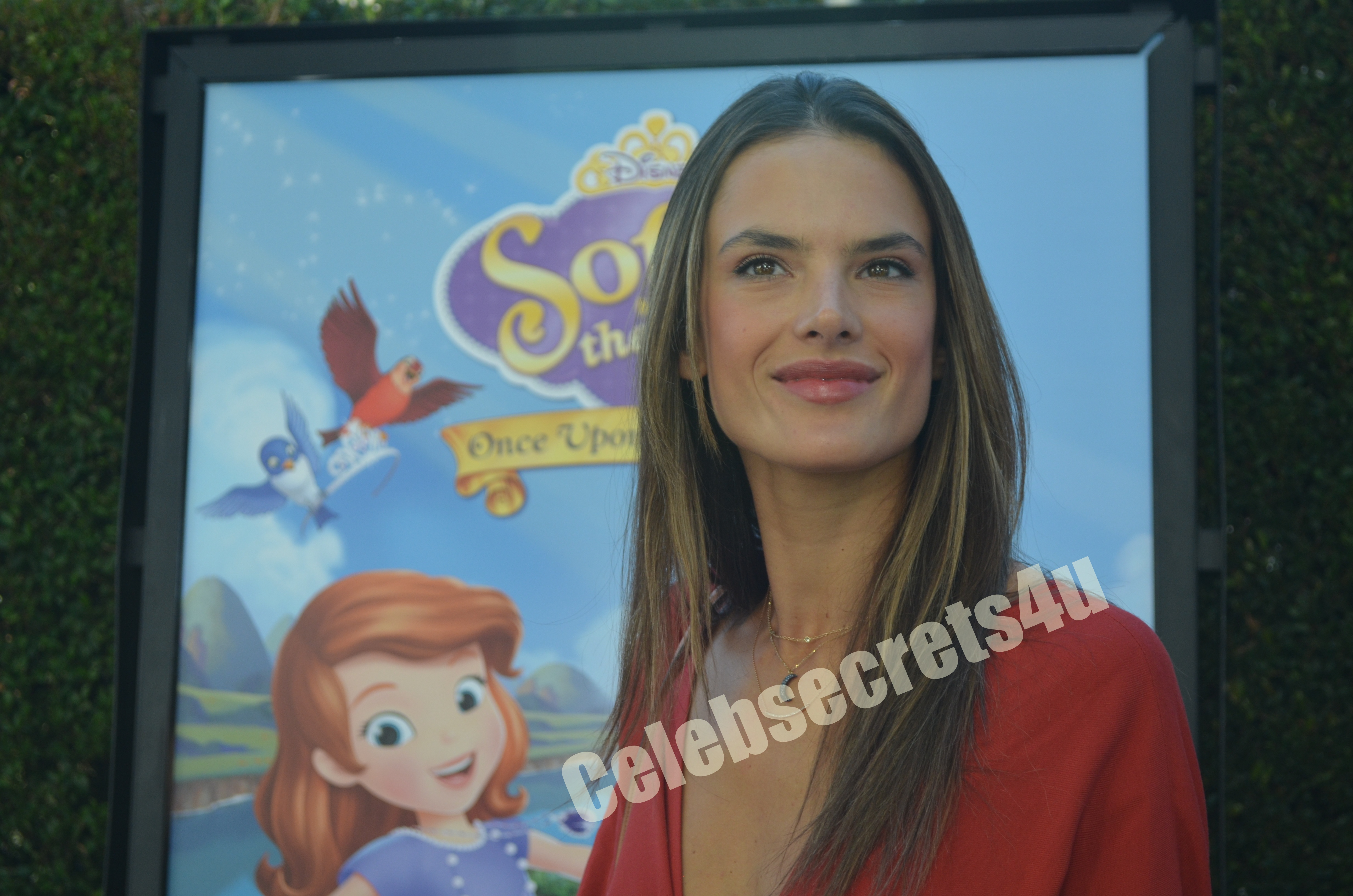 Wayne Brady, Constance Marie, Alessandra Ambrosino & More Celebrate the “Sofia The First: Once Upon A Princess” Premiere