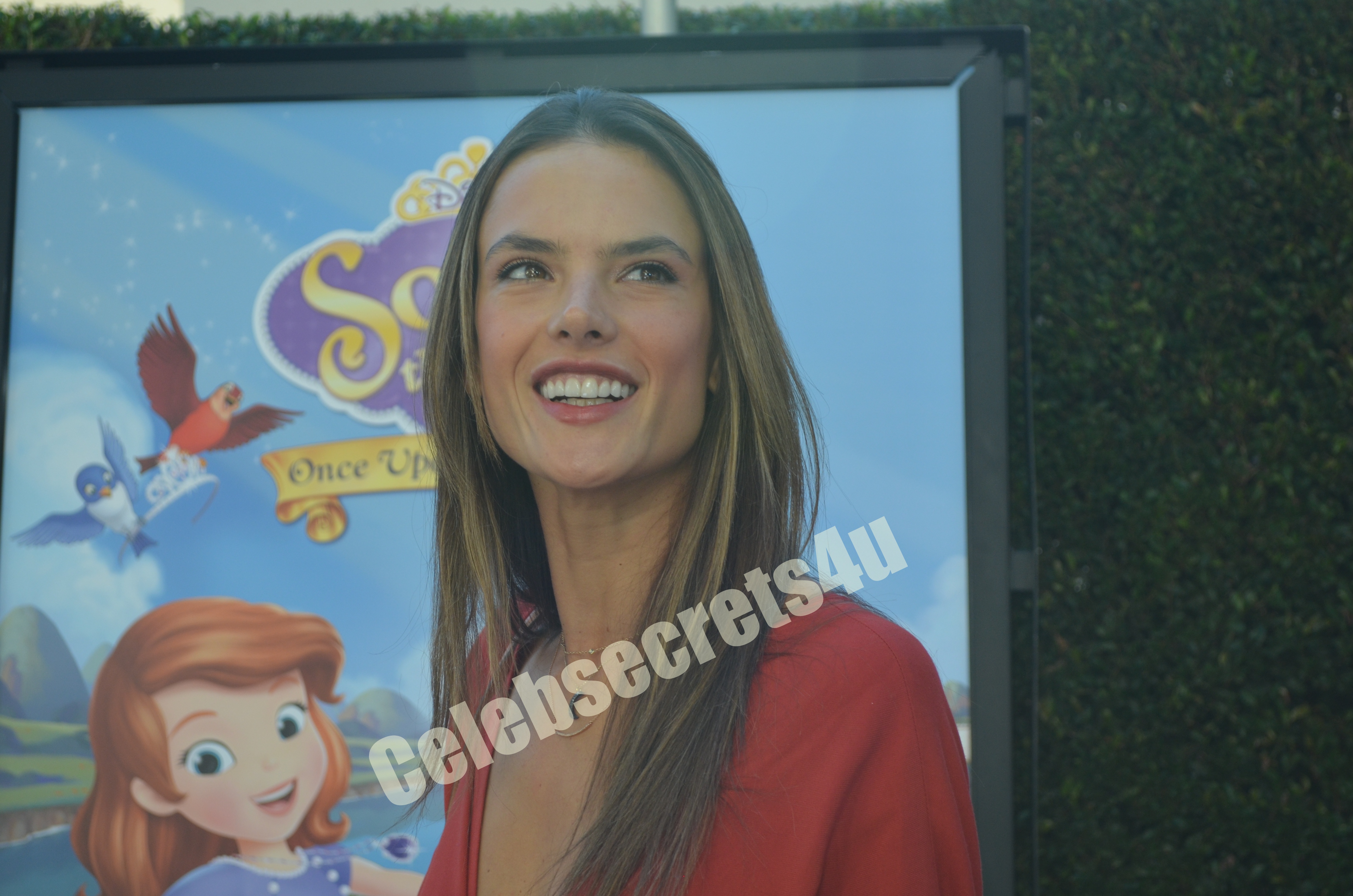 Wayne Brady, Constance Marie, Alessandra Ambrosino & More Celebrate the “Sofia The First: Once Upon A Princess” Premiere