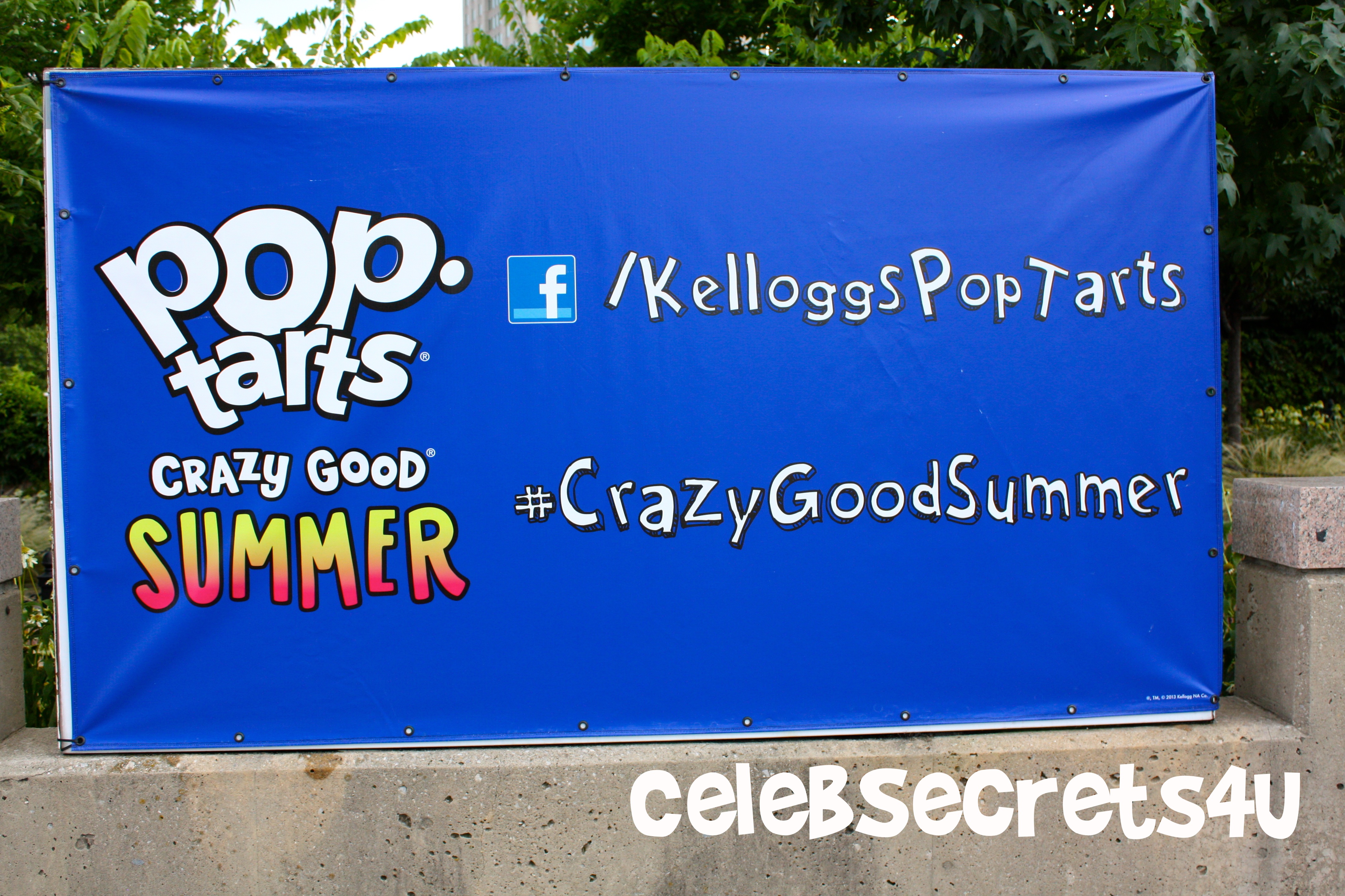 Exclusive: CelebSecrets4U Attends Pop-Tarts’ “Crazy Good Summer” Concert feat. Demi Lovato