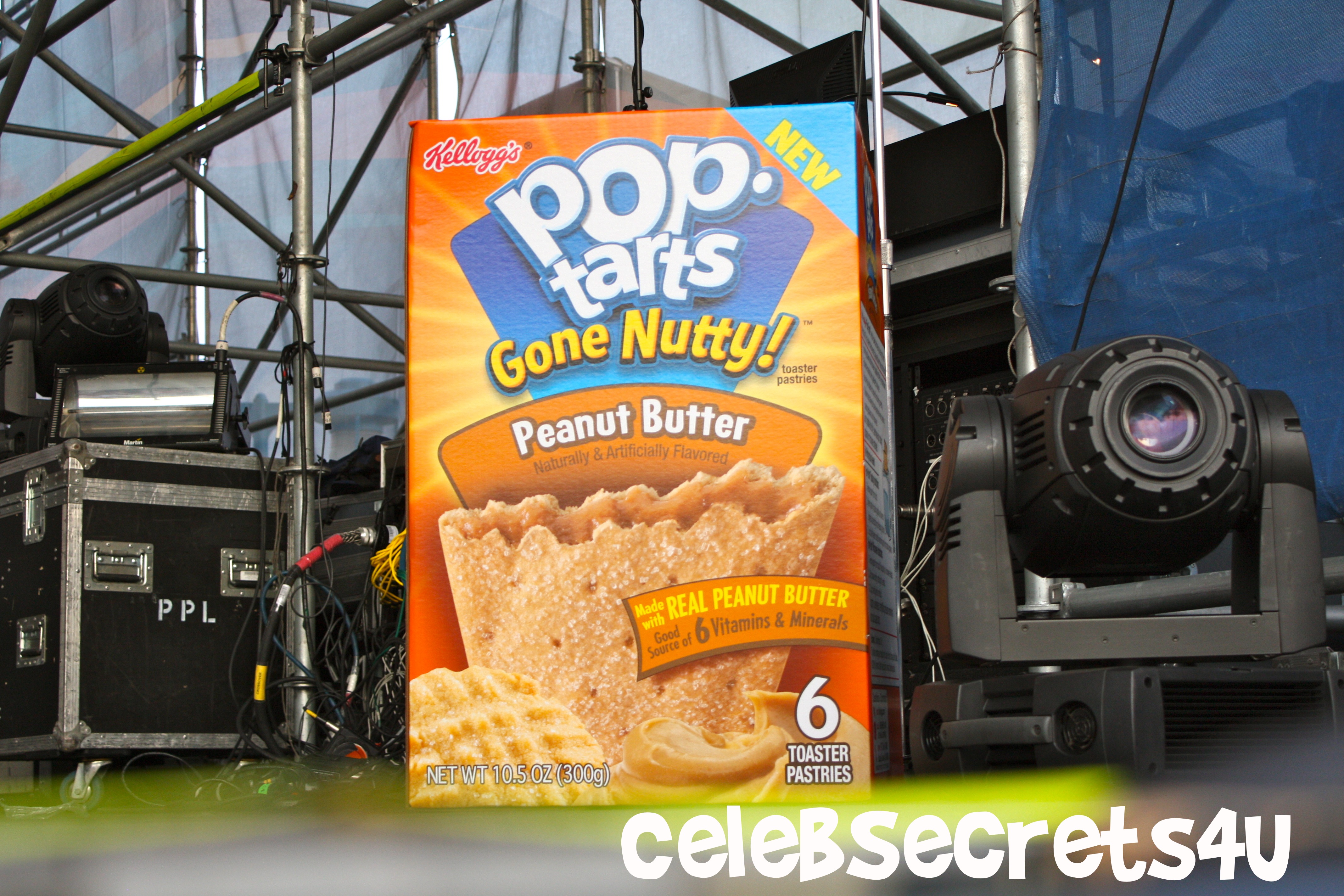 Exclusive: CelebSecrets4U Attends Pop-Tarts’ “Crazy Good Summer” Concert feat. Demi Lovato