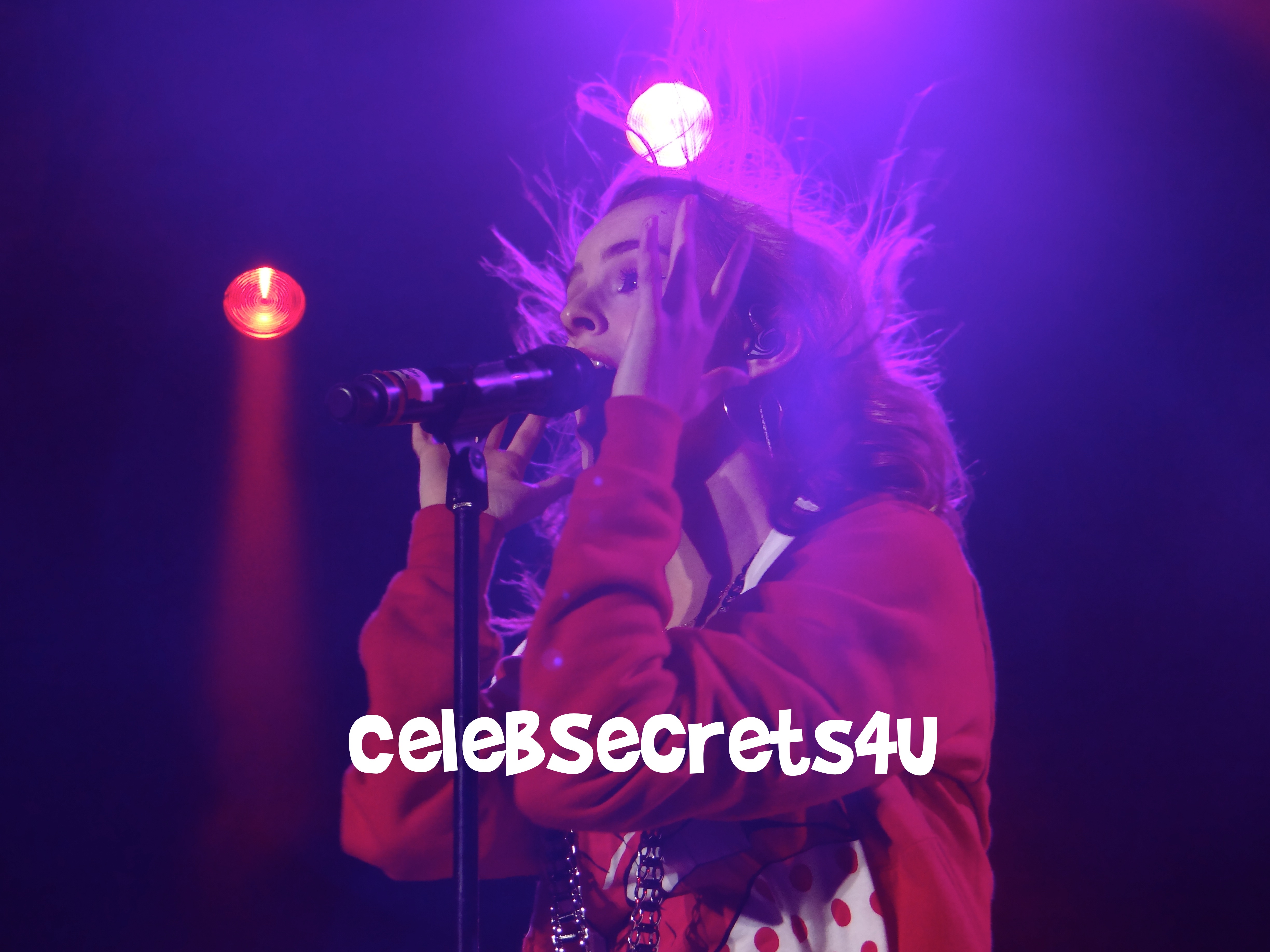 Exclusive: CelebSecrets4U Attends Pop-Tarts “Crazy Good Summer” Concert LA