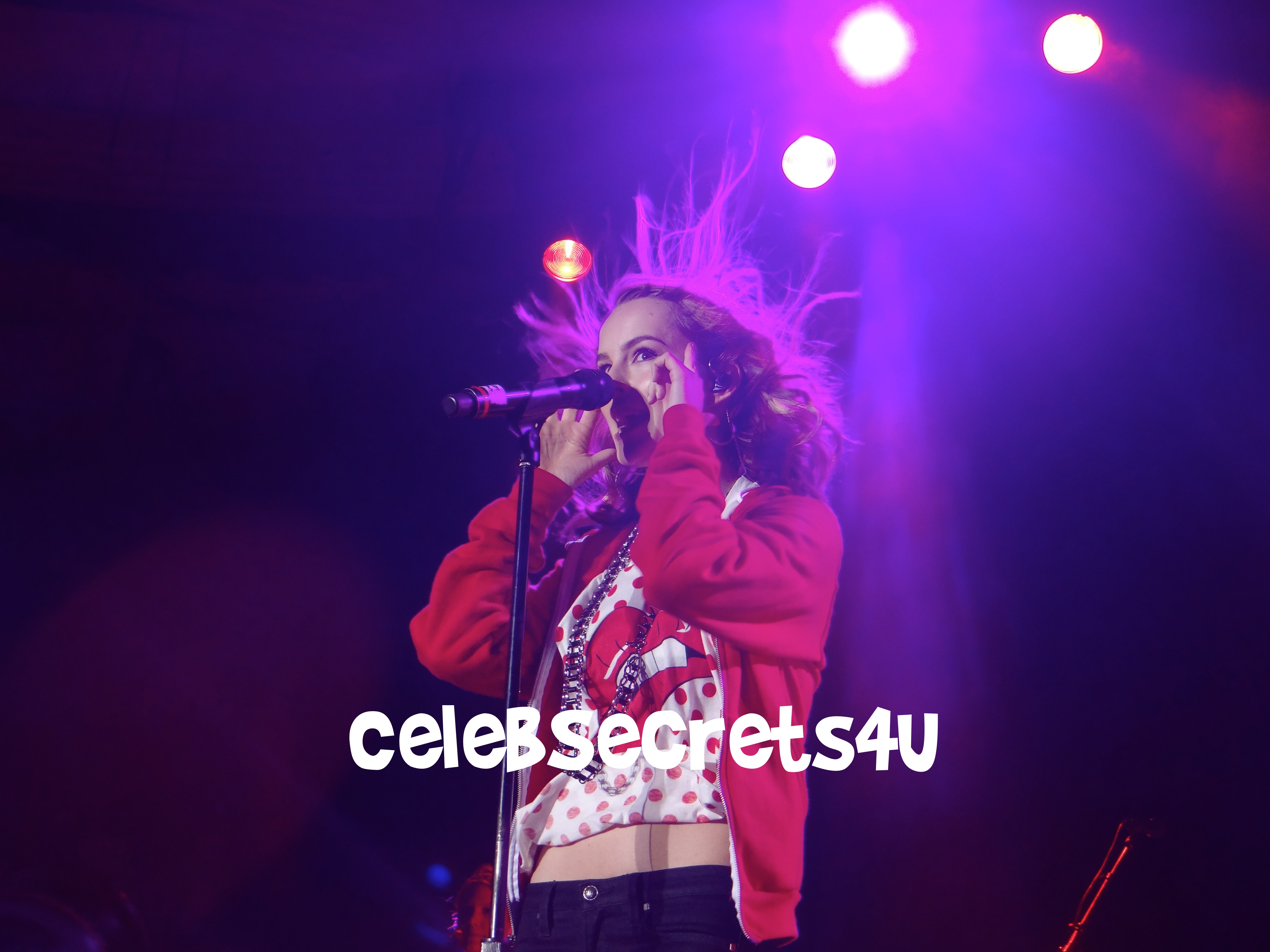 Exclusive: CelebSecrets4U Attends Pop-Tarts “Crazy Good Summer” Concert LA