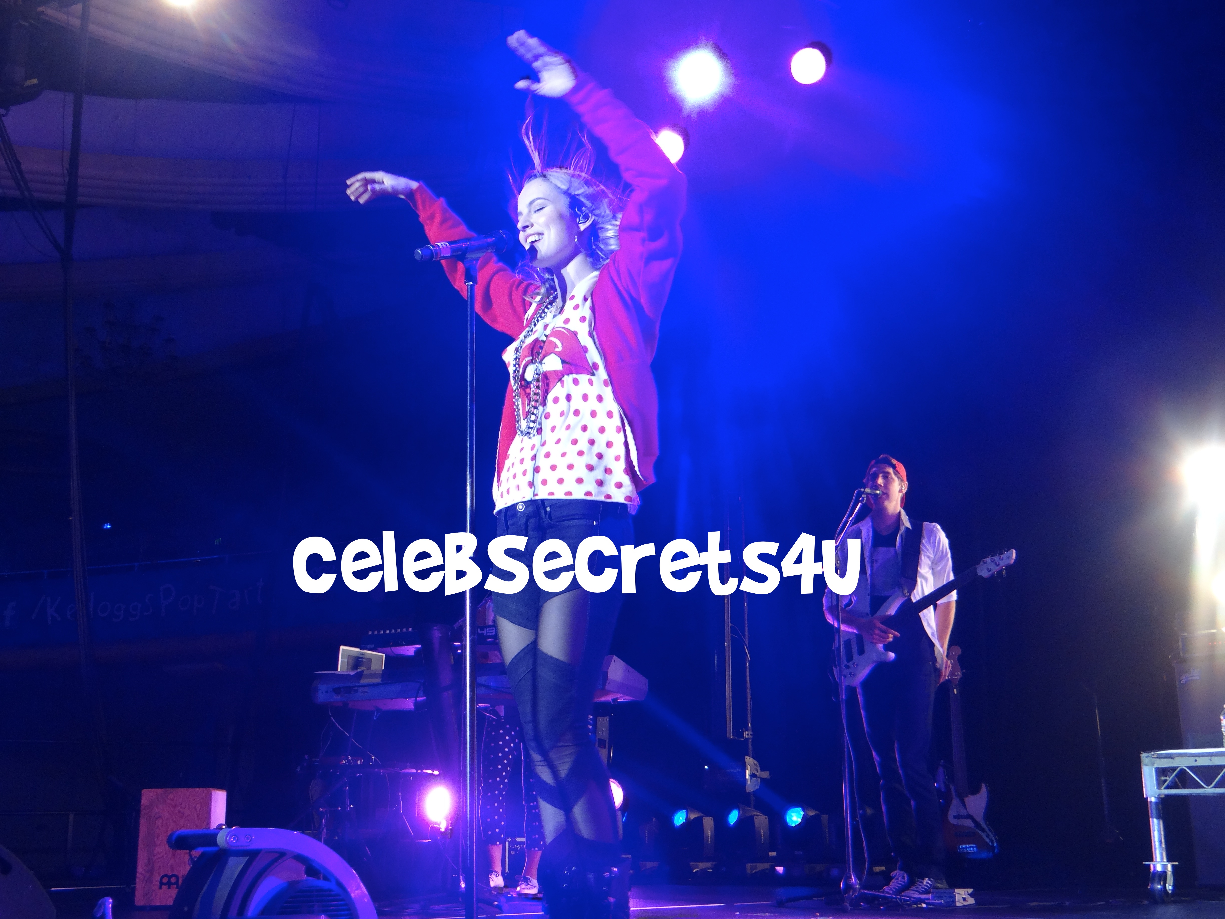 Exclusive: CelebSecrets4U Attends Pop-Tarts “Crazy Good Summer” Concert LA