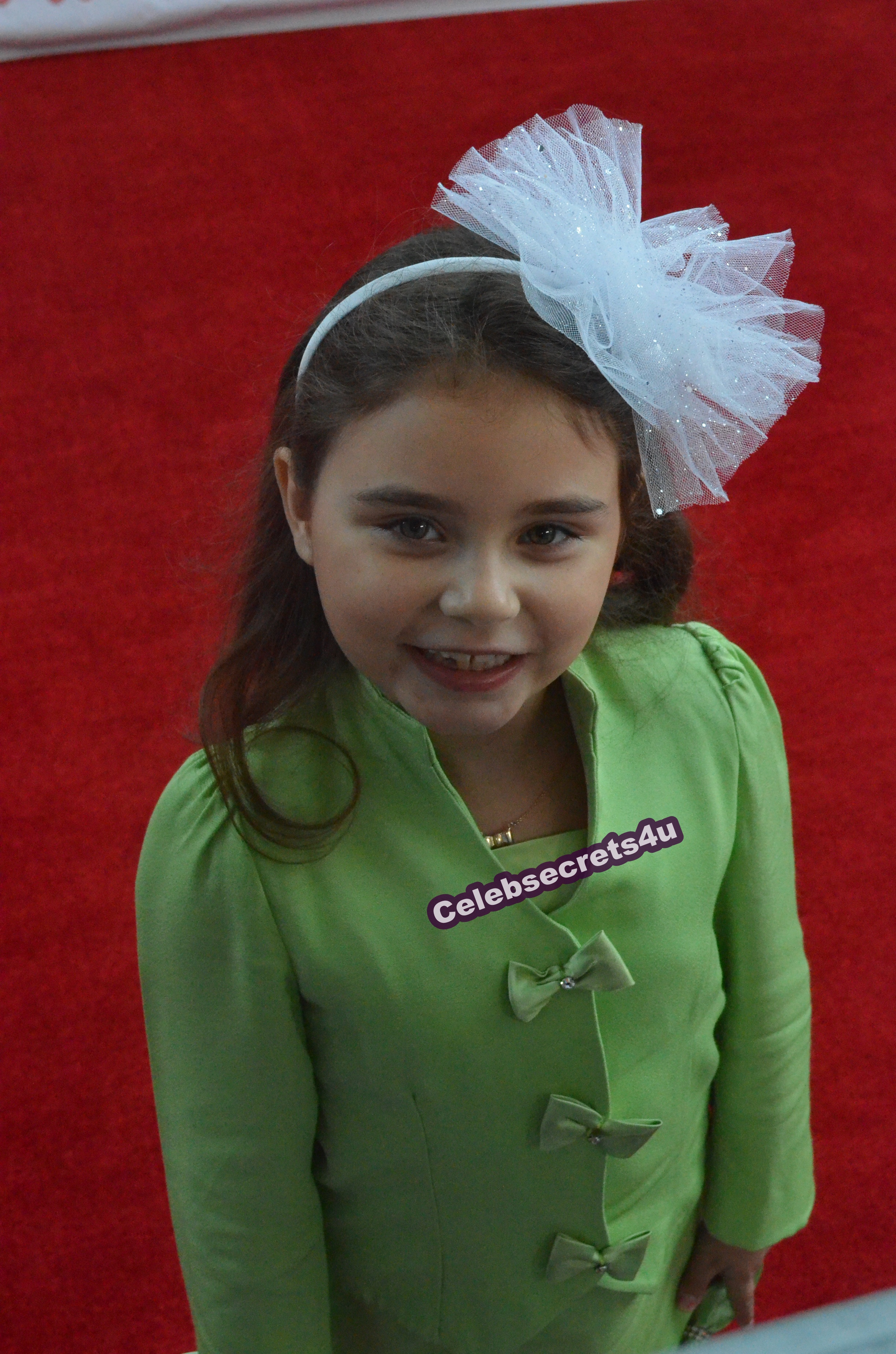 Exclusive: CelebSecrets4U Hits Up the 82nd Annual Hollywood Christmas Parade (@HlywdChristmas)