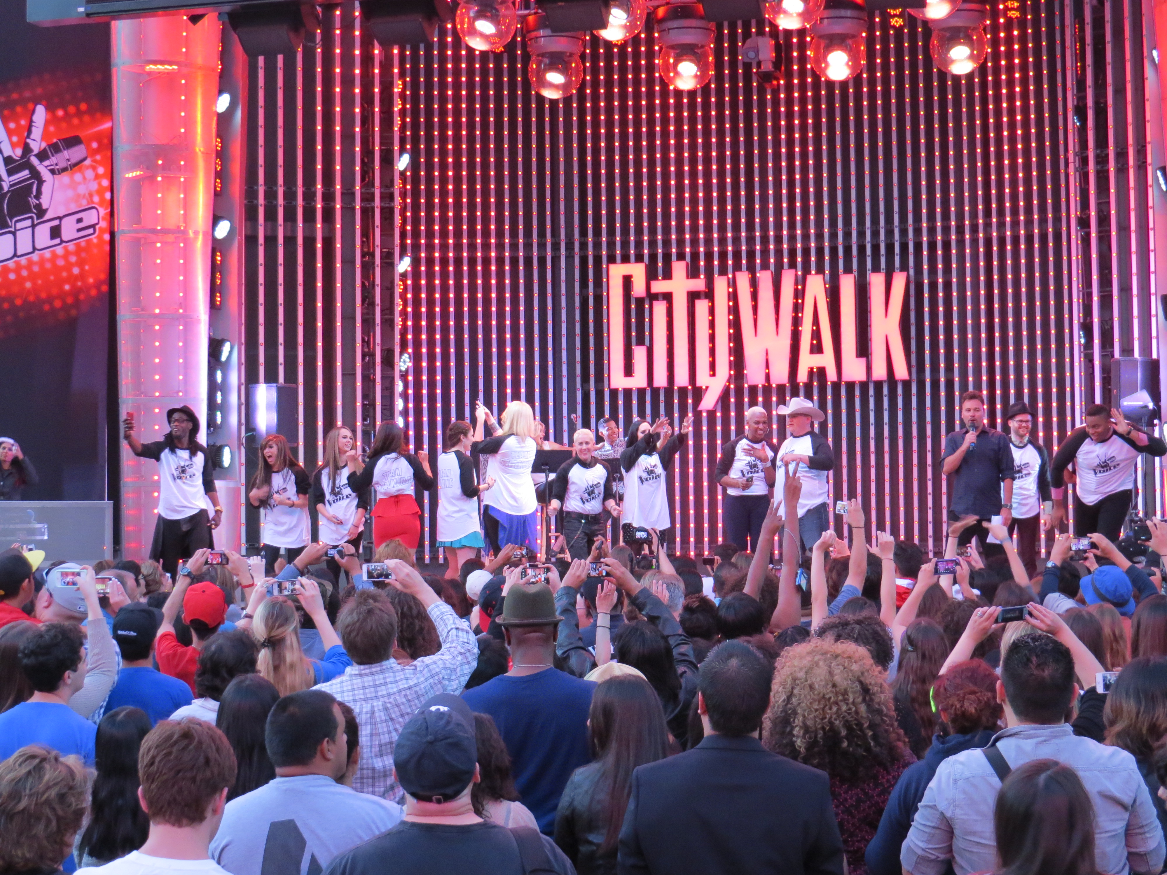 Exclusive: CelebSecrets4U Attends The Voice Top 12 Concert! (@NBCTheVoice)