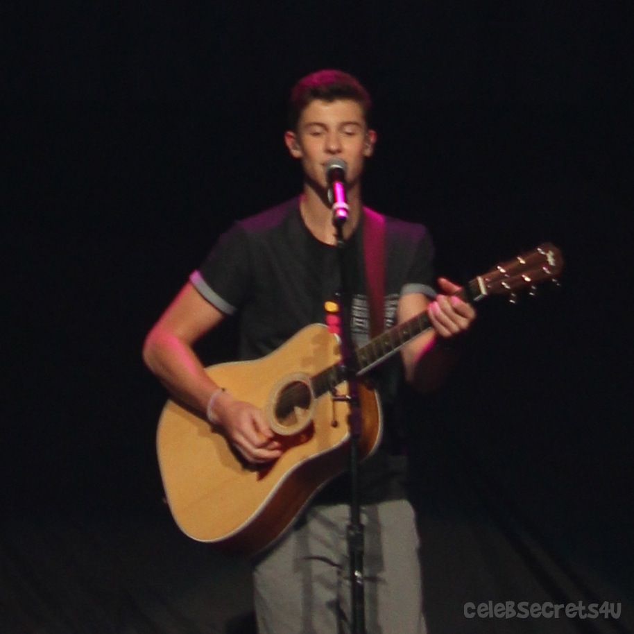 Show Review: Austin Mahone Live! Tour with The Vamps, Fifth Harmony & Shawn Mendes