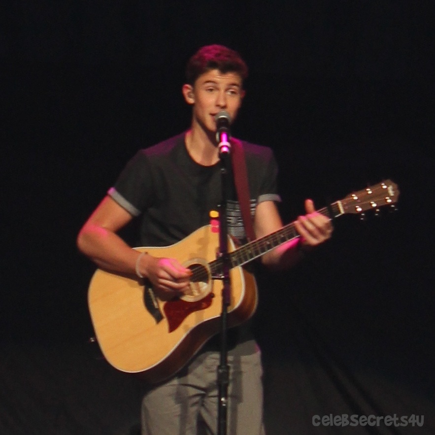 Show Review: Austin Mahone Live! Tour with The Vamps, Fifth Harmony & Shawn Mendes