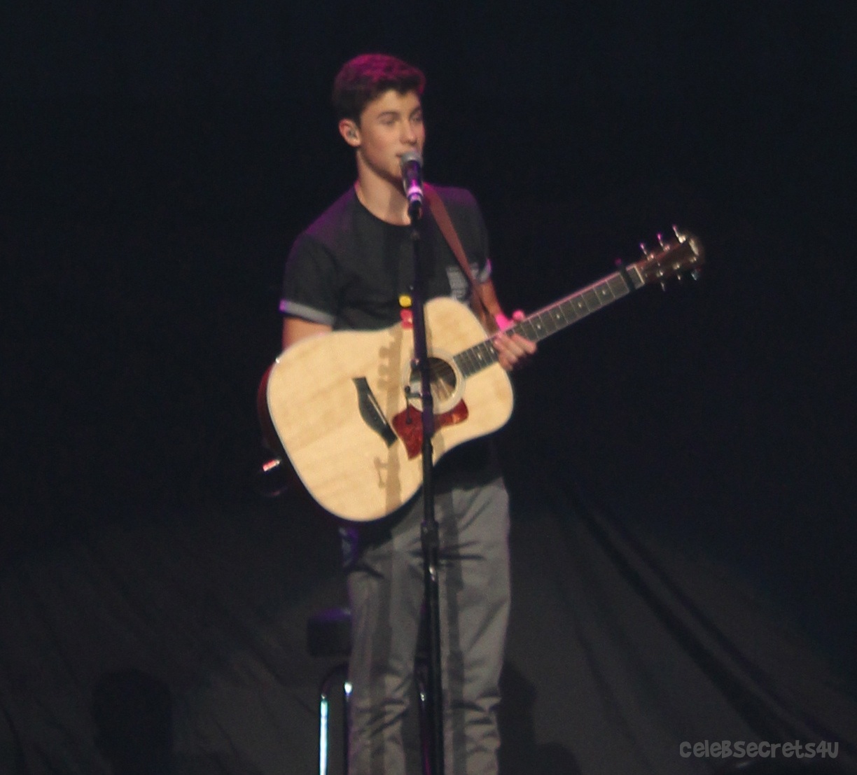 Show Review: Austin Mahone Live! Tour with The Vamps, Fifth Harmony & Shawn Mendes