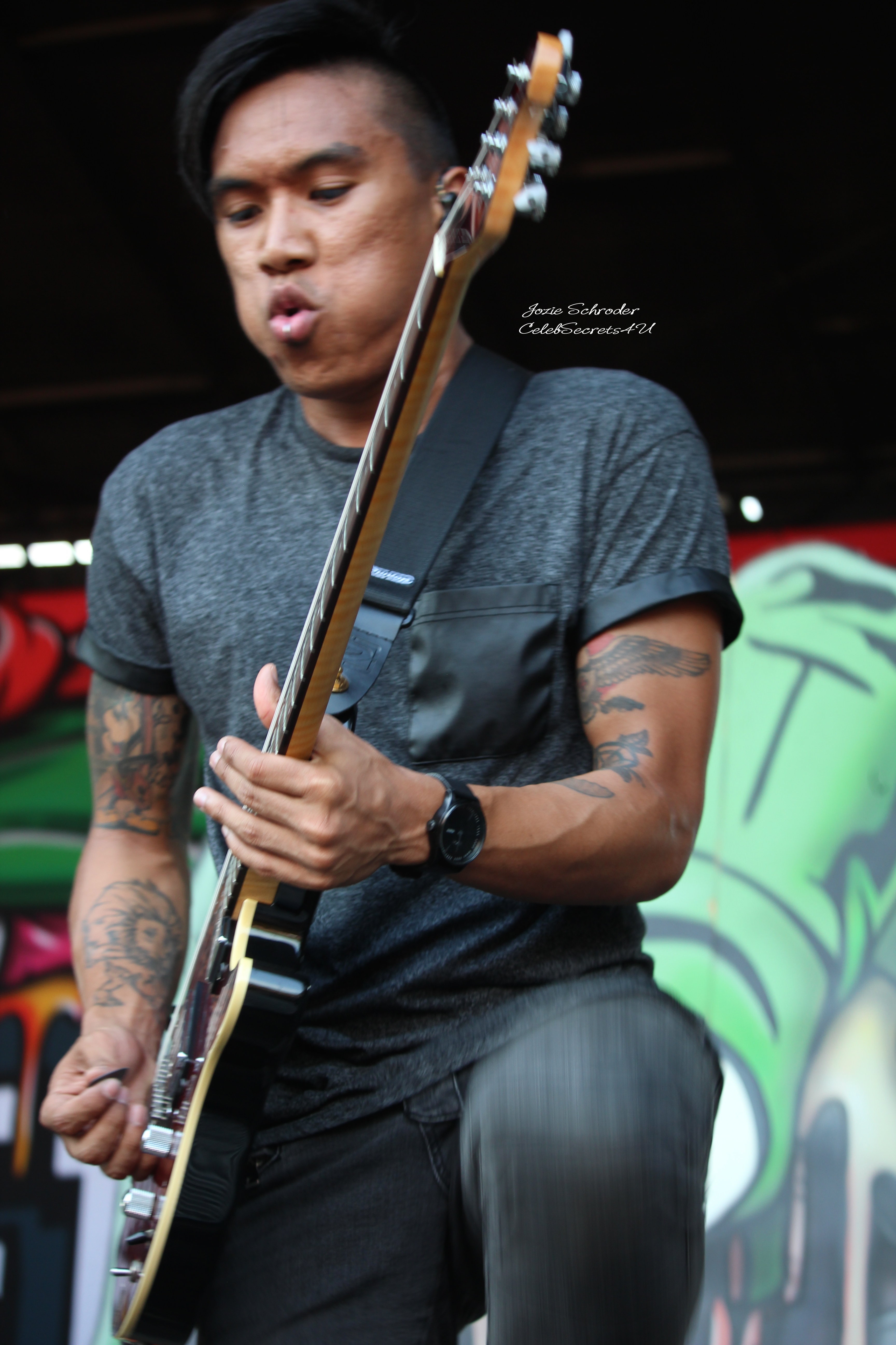 PIERCE THE VEIL | VANS WARPED TOUR 2015