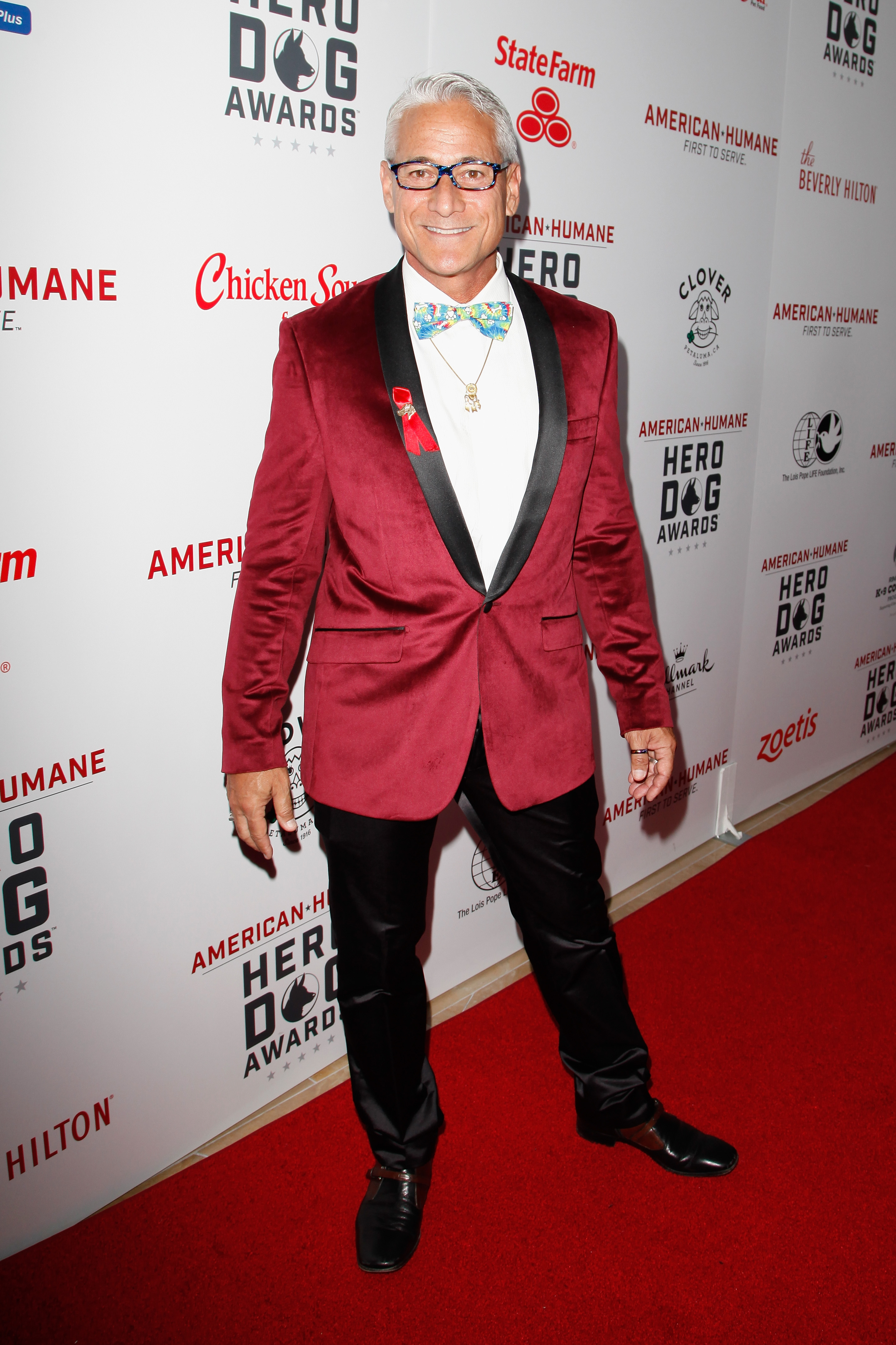 Katharine McPhee, Bailee Madison & More Come Out and Celebrate the Sixth Annual American Humane Association Hero Dog Awards