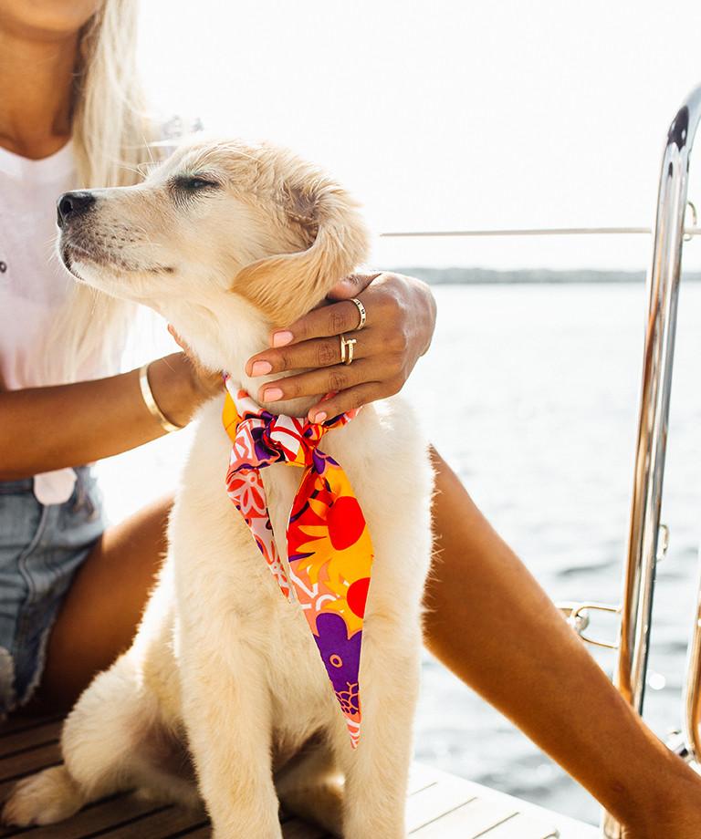 Eva Gutowski Launches Her Own Clothing Line