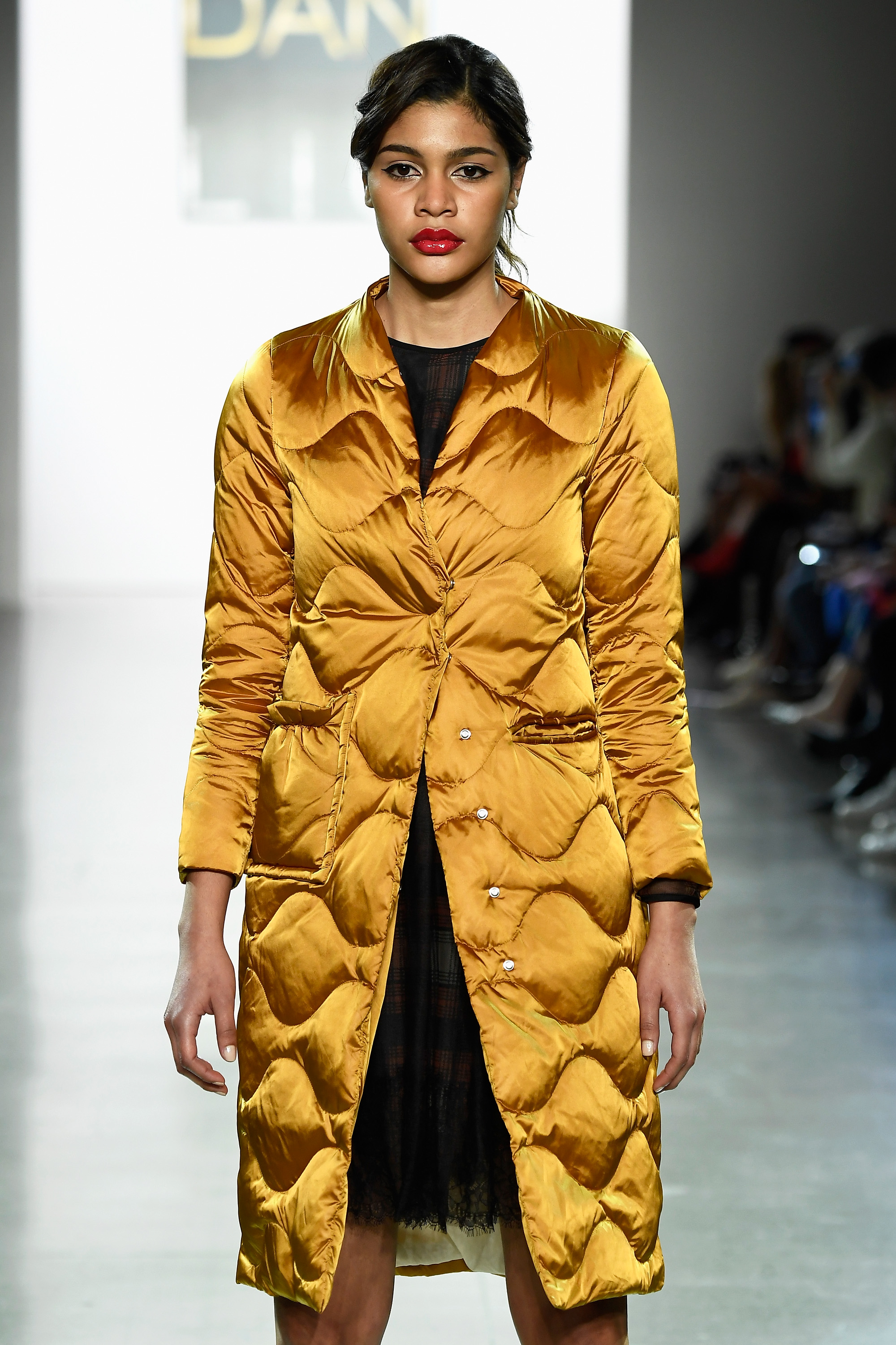 Rydel Lynch, Demi-Leigh Nel-Peters and Miss America Sit Front Row at Dan Liu’s Runway Show During New York Fashion Week