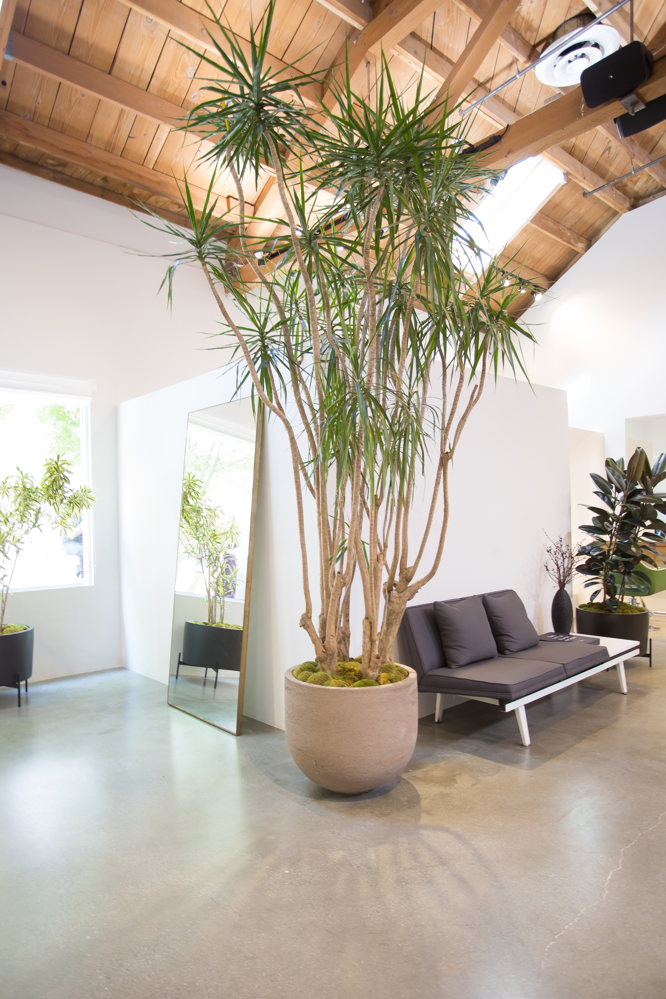 Inside Loft 647: The Eco-Friendly LA Salon That You Need to Visit ASAP