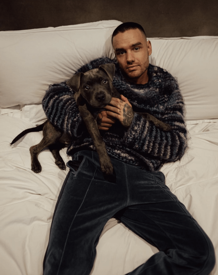 Liam Payne’s Autopsy Reports He Incurred “Multiple Traumas” That Caused “Internal and External Bleeding”