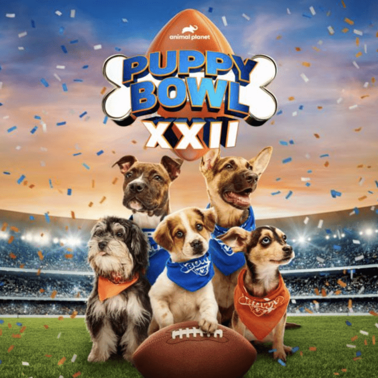 Here’s Everything to Know About Puppy Bowl XXII Straight from Head ‘Rufferee’ Dan Schachner (Exclusive)