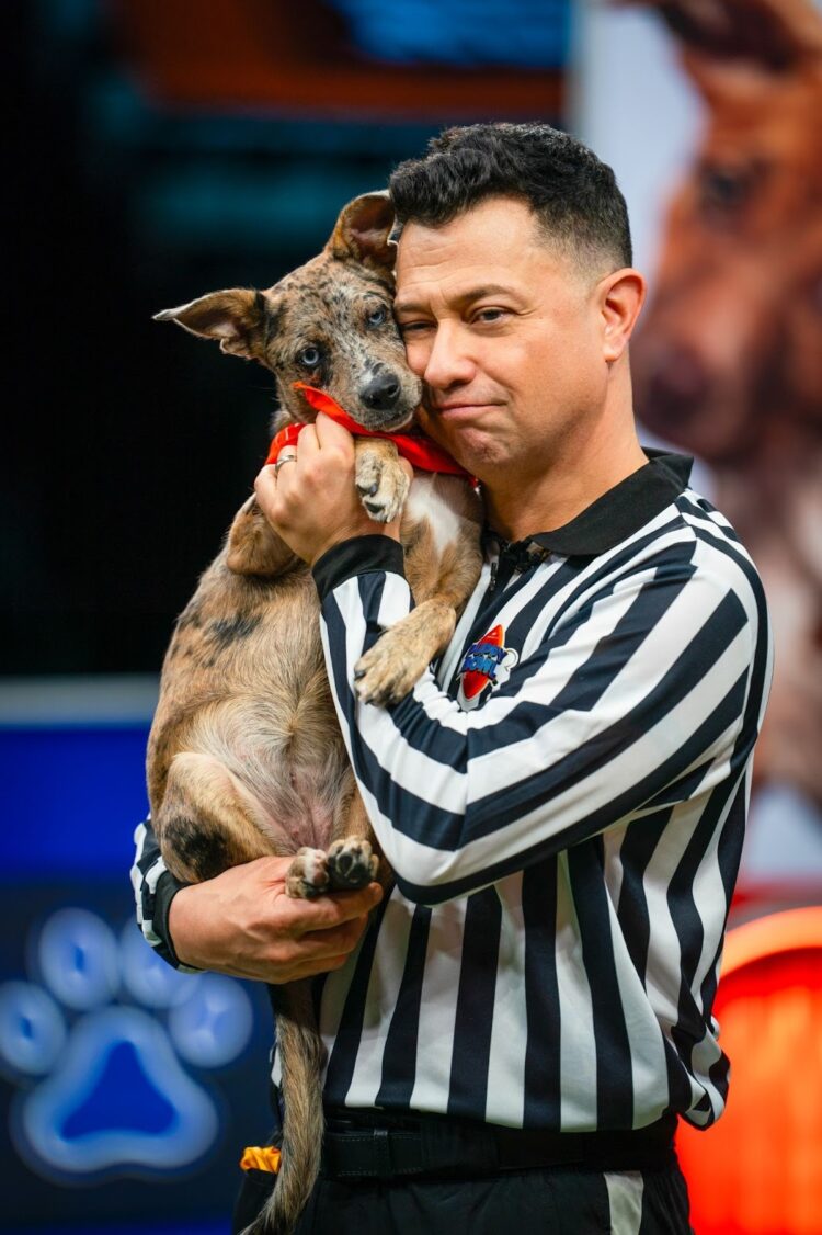Here’s Everything to Know About Puppy Bowl XXII Straight from Head ‘Rufferee’ Dan Schachner (Exclusive)