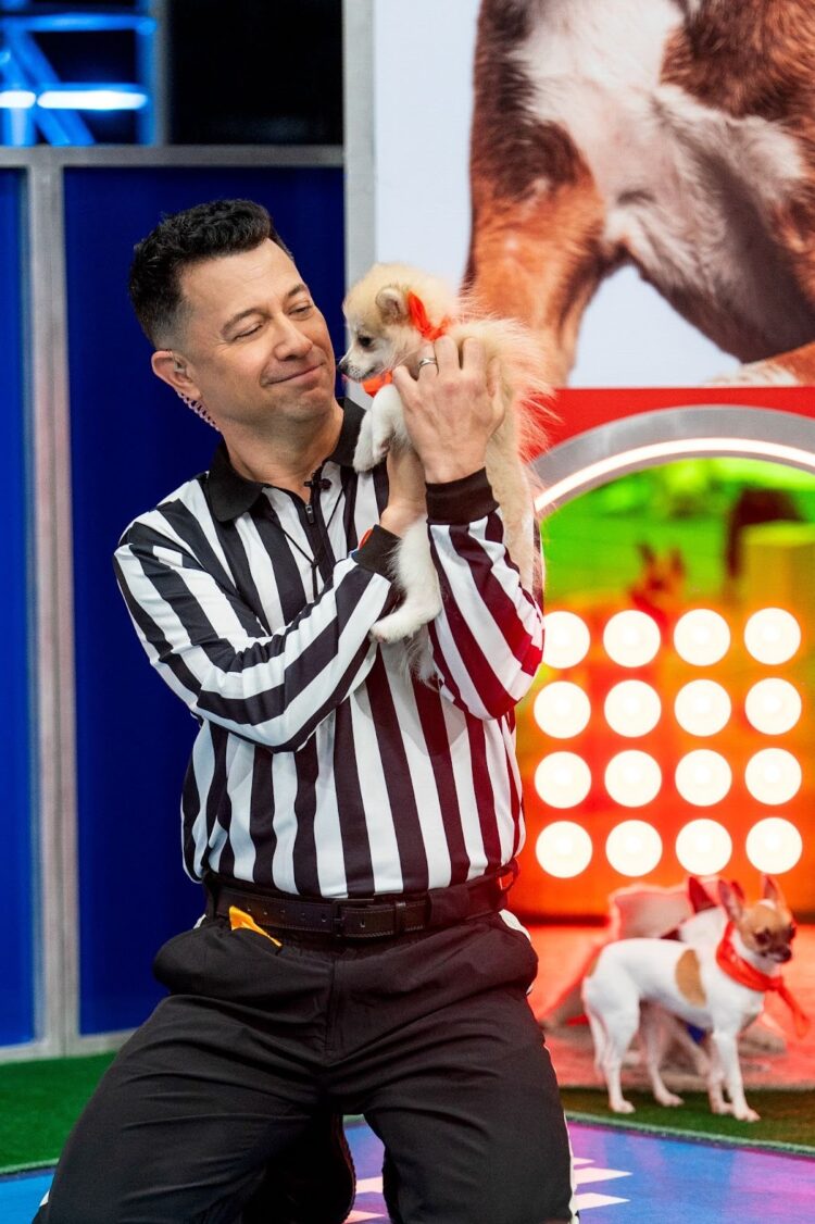 Here’s Everything to Know About Puppy Bowl XXII Straight from Head ‘Rufferee’ Dan Schachner (Exclusive)